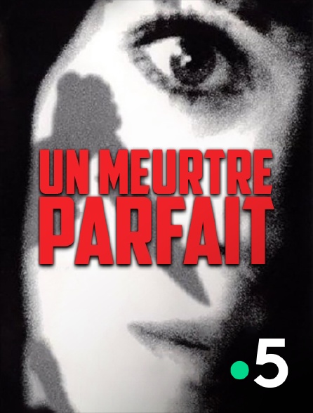 France 5 - Un meurtre parfait