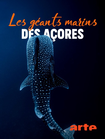 Arte - Les géants marins des Açores