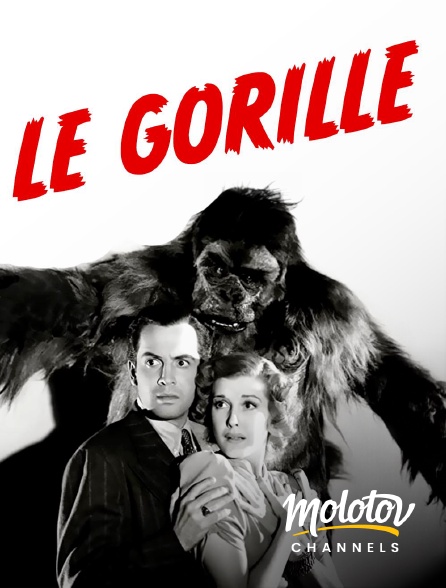 Molotov Channels - Le Gorille