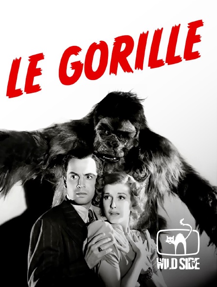 Wild Side TV - Le Gorille
