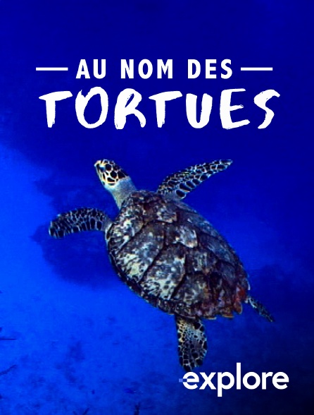 EXPLORE - Au nom des tortues en replay
