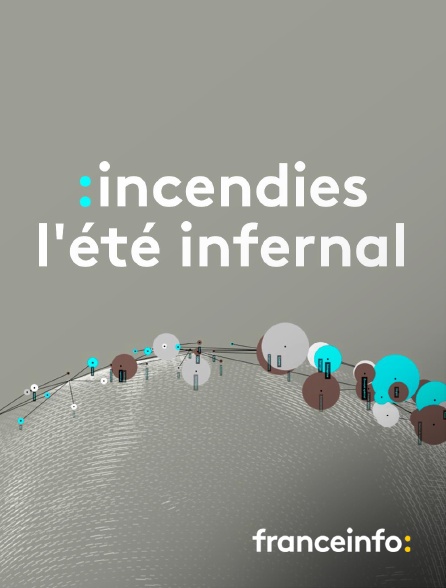 franceinfo: - Incendies, l'été infernal