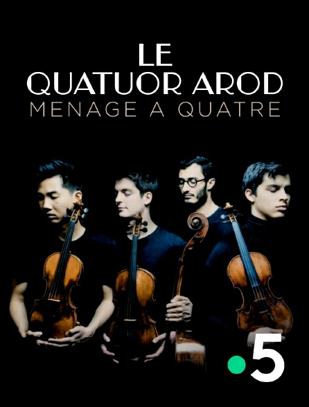 France 5 - Le Quatuor Arod : ménage à quatre