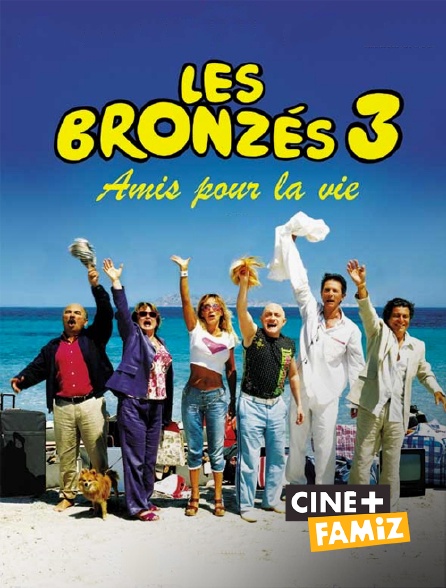 Les bronzés 3 : amis pour la vie en Streaming sur Ciné ...