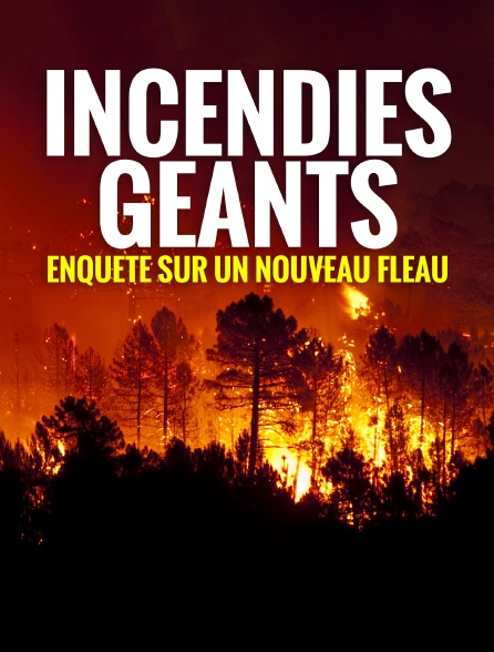 Incendies géants, enquête sur un nouveau fléau