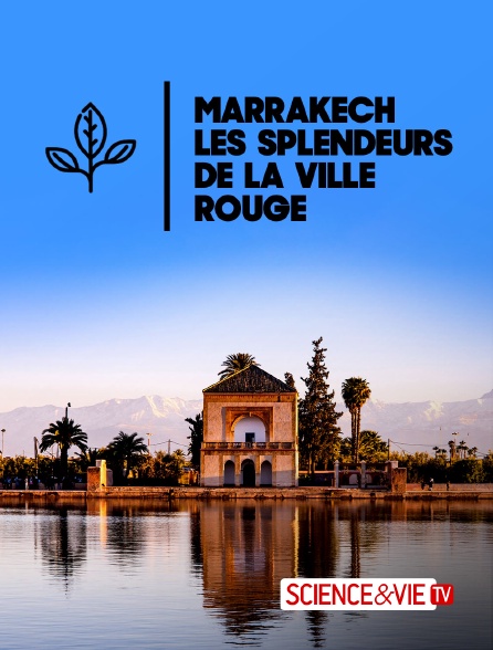 Science et Vie TV - Marrakech, les splendeurs de la ville rouge