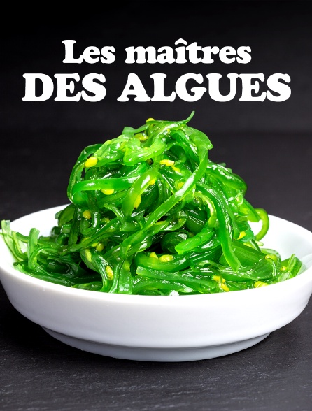 Les maîtres des algues