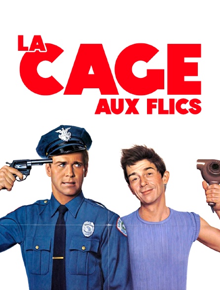 La cage aux flics