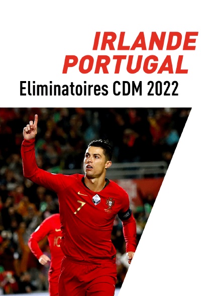 Football : Eliminatoires de la Coupe du monde UEFA - Irlande / Portugal
