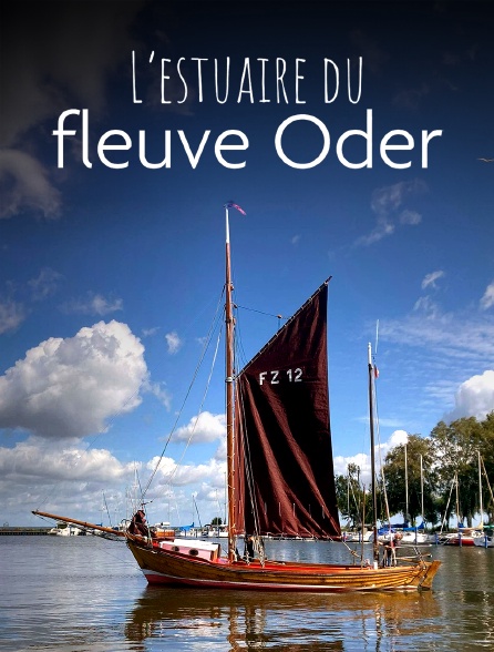 L'estuaire du fleuve Oder : Une lagune à l'écosystème foisonnant