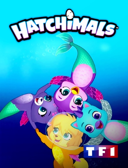 TF1 - Hatchimals
