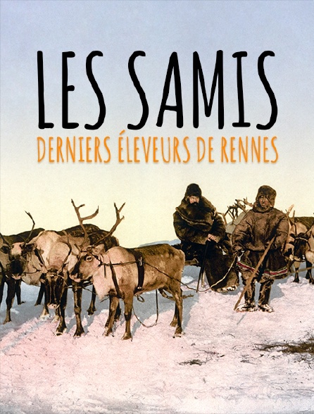 Les Samis, derniers éleveurs de rennes