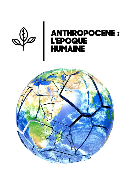 Anthropocène : l'époque humaine