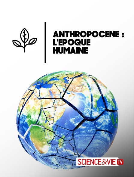 Science et Vie TV - Anthropocène : l'époque humaine