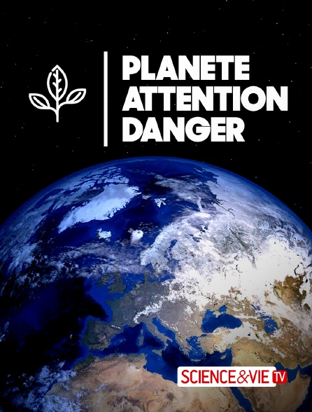 Planete Attention Danger En Streaming Replay Sur Science Et Vie Tv Molotov Tv