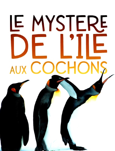 Le mystère de l'île aux Cochons