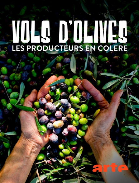 Arte - Vols d'olives : les producteurs en colère