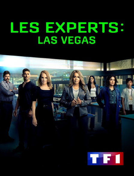 TF1 - Les experts : Las Vegas