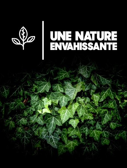 Une nature envahissante