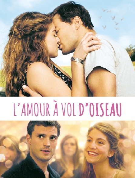 L'amour à vol d'oiseau