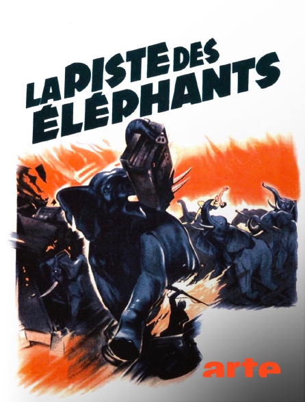Arte - La piste des éléphants