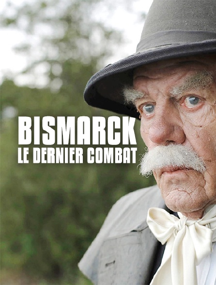 Bismarck, le dernier combat