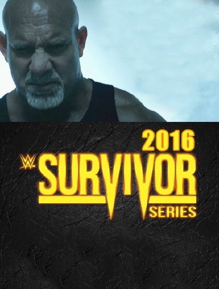 WWE Survivor Series 2016 en Streaming  Molotov.tv