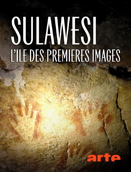 Arte - Sulawesi, l'île des premières images