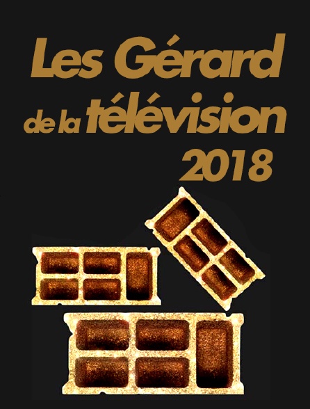 Les Gérard de la télévision 2018