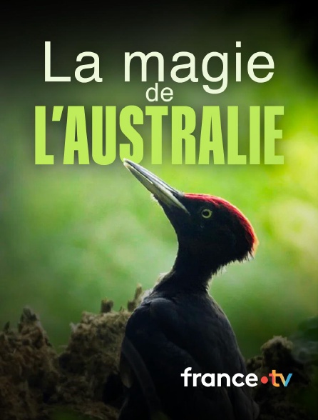 france.tv - La magie de l'Australie en replay