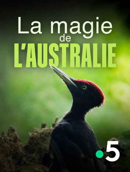 France 5 - La magie de l'Australie