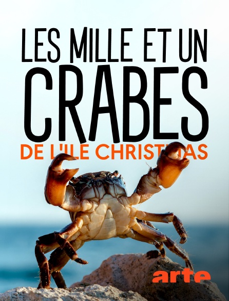 Arte - Les mille et un crabes de l'île Christmas