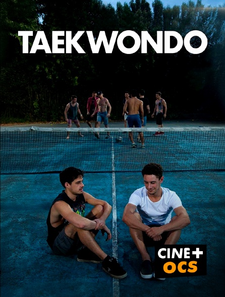 CINÉ Cinéma - Taekwondo