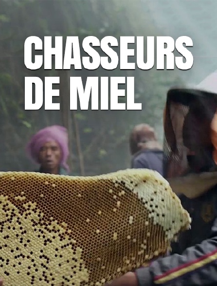 Chasseurs de miel