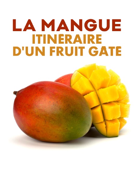 La mangue, itinéraire d'un fruit gâté