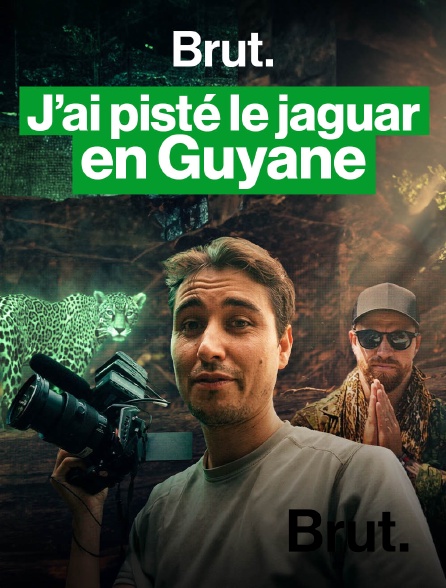 Brut - J’ai pisté le jaguar en Guyane… (et rien ne s'est passé comme prévu) en replay