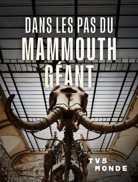TV5MONDE - Dans les pas du mammouth géant