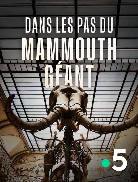 France 5 - Dans les pas du mammouth géant