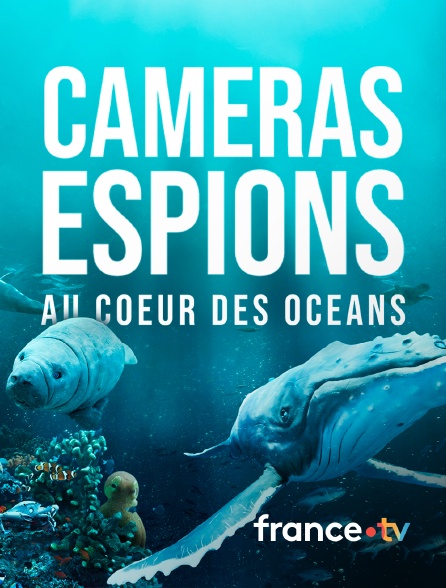 france.tv - Caméras espions au coeur des océans