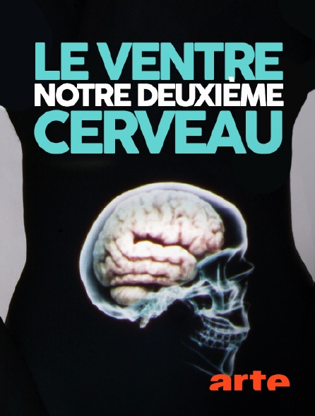 Arte - Le ventre, notre deuxième cerveau