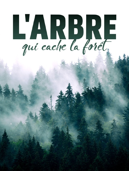 L'arbre qui cache la forêt