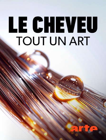 Arte - Le cheveu : Tout un art