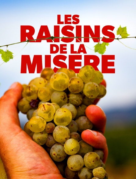 Les raisins de la misère