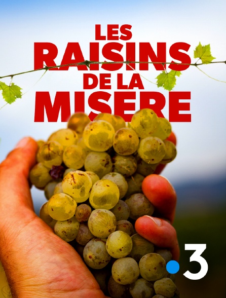 France 3 - Les raisins de la misère
