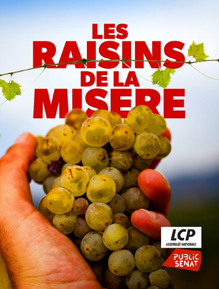 LCP Public Sénat - Les raisins de la misère