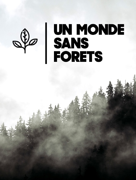 Un monde sans forêts