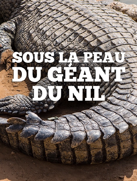 Sous la peau du géant du Nil