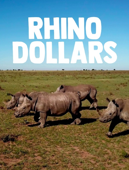 Rhino dollars