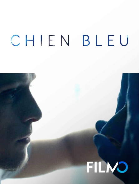 FilmoTV - Chien bleu