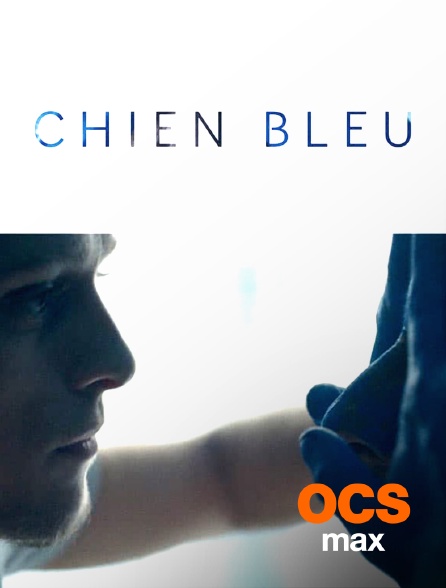 OCS Max - Chien bleu